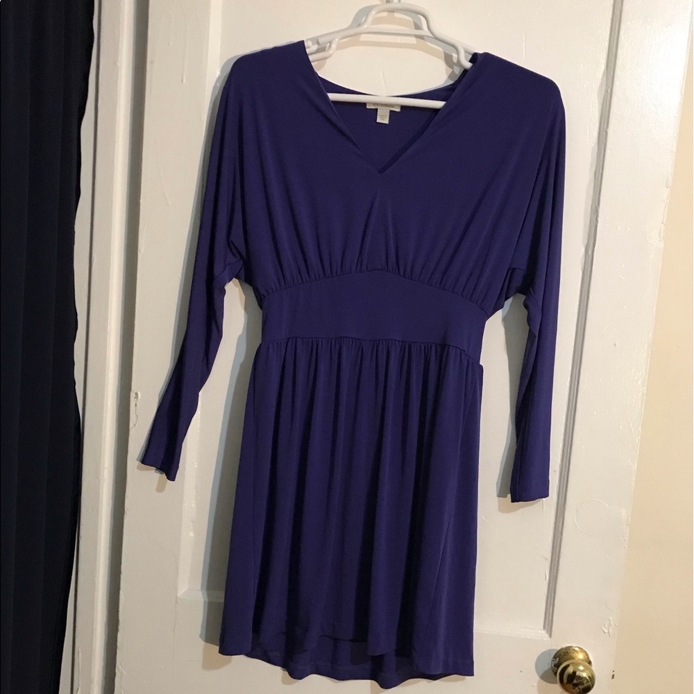 Blue-purple Boston Proper Dress
